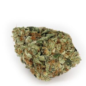 Gucci Pink Marijuana Strain