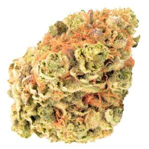 G Mintz Marijuana Strain