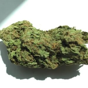 Blue Bayou Weed Strain