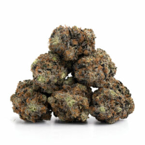 Gas Truffle Marijuana Strain