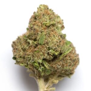 Island Girl Marijuana Strain