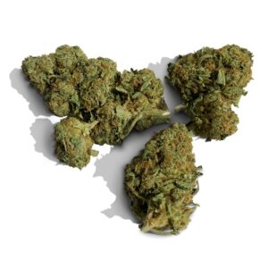 Kosher Kush Weed Strain