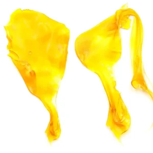 Obama Kush Toffee Strain Shatter