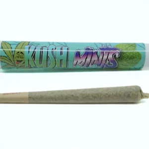 Pre-Rolled Joint – Kush Mintz