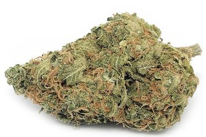 West Coast Diesel Marijuana Strain