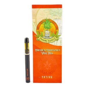 So High Extracts Disposable Pen – Pineapple Express